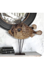 Diodon naturalized decorative on metal stand