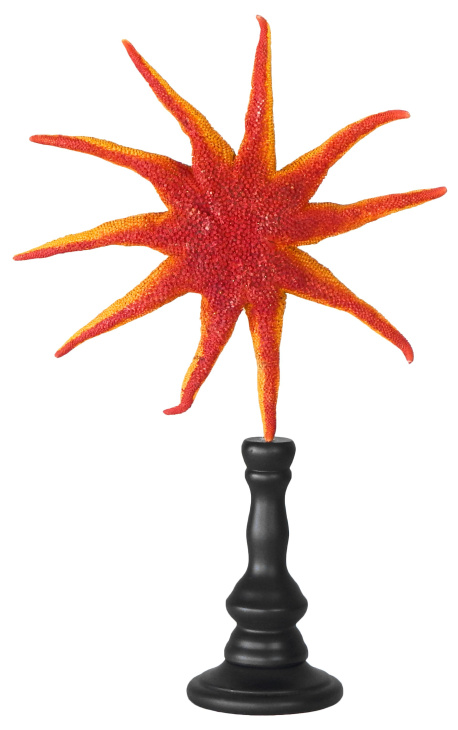 Grand starfish sol en baluster de madera