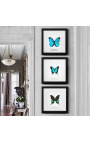 Moldura decorativa com decoração de borboleta "Morpho Menelau"