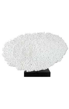 Grande corallo di riccio montato sulla base di legno