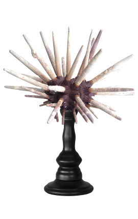 Urchin pencil on wooden baluster