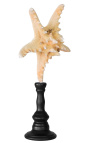Large starfish "Jungle" on wooden baluster