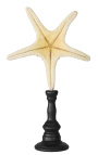 Large starfish "Jungle" on wooden baluster