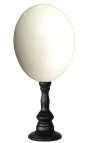 Pštrosí vejce na dřevěném sloupku