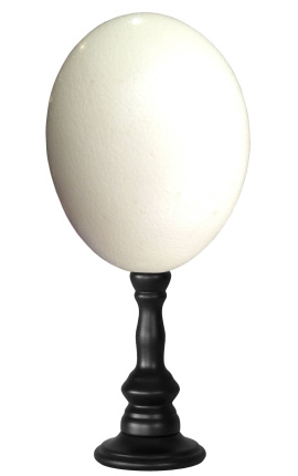 Strusie jajko na drewnianej tralce
