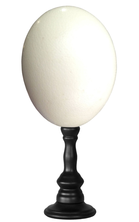 Strusie jajko na drewnianej tralce