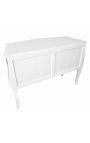 Baroki stiilis kleit Louis XV, valge 2 sahtliga, hõbedased pronsid