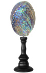 Abalone Paua auf Holzbaluster