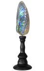 Abalone Paua sur balustre en bois