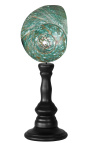 Turbo Madagascar green on wooden baluster