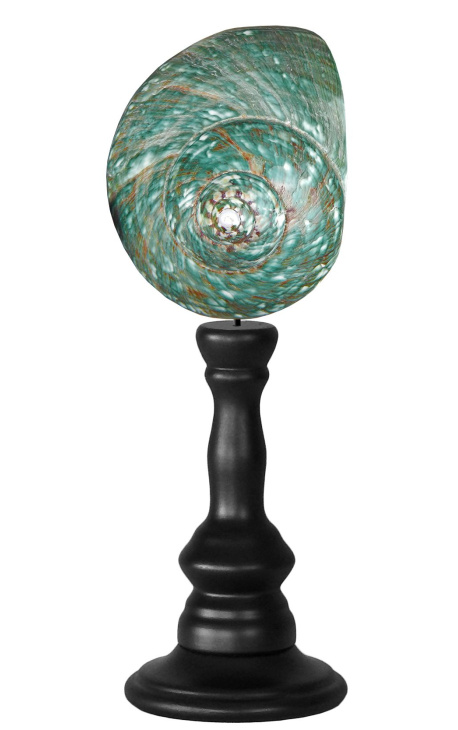 Turbo Madagascar green on wooden baluster