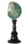 Turbo Madagascar green on wooden baluster