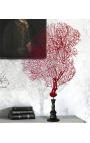 Red gorgonian (coral) on a wooden baluster