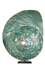 Turbo Madagascar green on wooden baluster