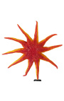 Grand starfish sun on wooden baluster