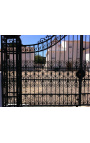 Ворота замка, барокко, кованого железа, два листа, две колонки и фонари