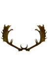 Antler de chifre verdadeiro de veado para decoração de parede