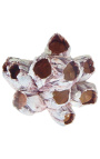 Grand barnacle pe balustre de lemn