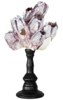 Grand barnacle pe balustre de lemn