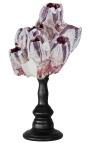Grand barnacle pe balustre de lemn