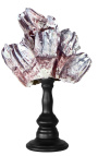 Grand barnacle pe balustre de lemn