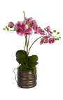 Lila Tuch der Phalaenopsis-Orchidee