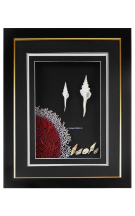 Large frame with shells and coral
