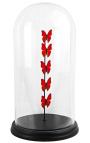 Κόκκινες πεταλούδες που παρουσιάζονται σε μια γυάλινη σφαίρα