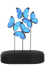 Бабочки "Морфо Менелай" под стеклянный шар