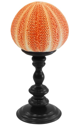 Gran erizo redondo de mar naranja en baluster de madera