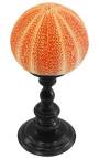 Grand oursin rond orange sur balustre en bois