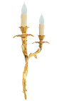 Nástenná lampa z bronzových akantových listov Ľudovíta XV