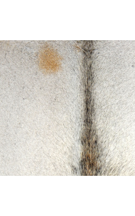 Karvės odos kilimas smėlio spalvos