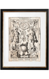 Gran grabado antiguo del cuerpo humano visio captori microcosmi prima