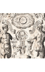Grande gravure antique du corps humain "visio captori microcosmi prima"