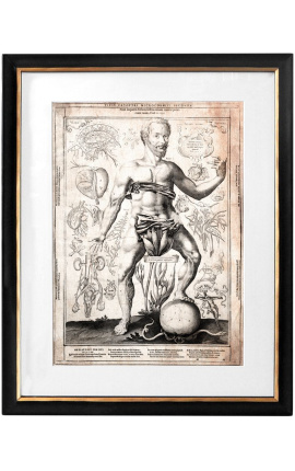 Grande incisione antica del corpo umano "visio captori microcosmi prima"
