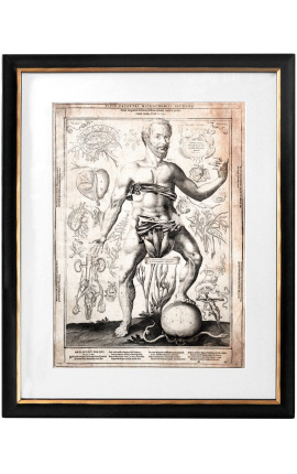 Grande gravura antiga do corpo humano "visio captori microcosmi secunda"