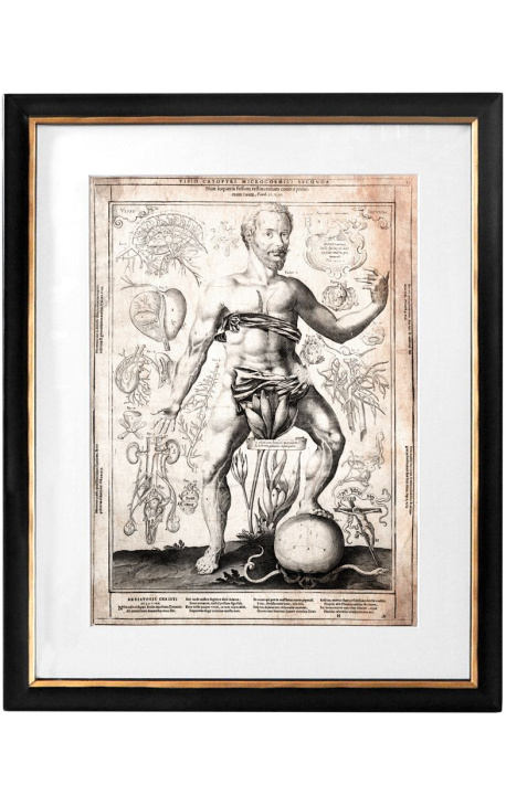 Large antique engraving of the human body "visio captori microcosmi prima"