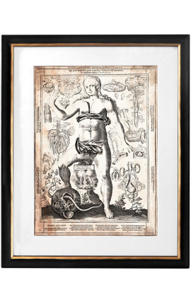 Large antique engraving of the human body "visio captori microcosmi tertia"