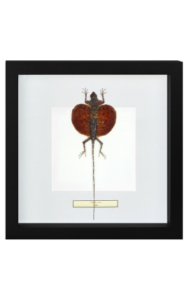 Decorative frame with a scrab "Draco Volans"