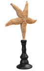 Grand starfish yellow on wooden baluster