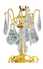 Grande lampadario in bronzo e vetro a 16 braccia