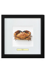 Dekorativ ramme med en ekte crab "Brachyura"