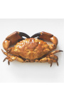 Koristeellinen kerma, jossa on todellinen crab "Brachyura"