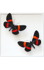 Decoratieve frame met twee butterflies "Miljoenen Drucei"