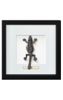 Cadre décoratif avec lézard "Lizard Sp."