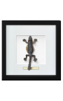 Decoratieve frame met een lizard "Lijst van Sp."