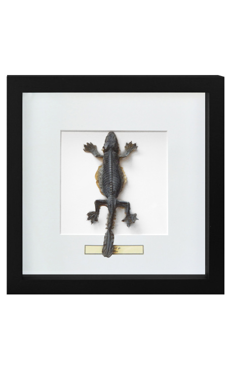 Dekorativer Rahmen mit einem Lizard "Lisard Sp."