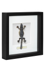 Marco decorativo con lagarto "Lisard Sp."