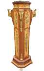 Napoleon III stil kolonne med rammer og gull bronzes - 4